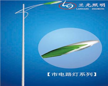 湖北6米市電路燈