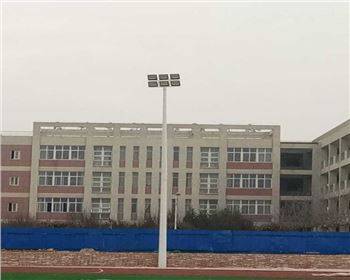 陜西西安藍田縣職教中心操場亮化高桿燈項目